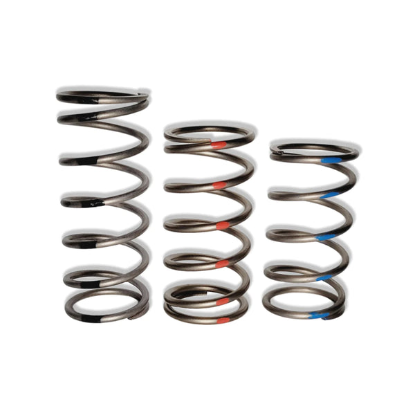 TAPP PRIMARY CLUTCH SPRINGS